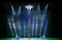 Beijing Night Tour Acrobatics Show at Chaoyang Theatre