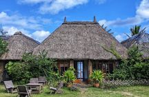 Mauritius Blue Bay Eco Tour and Coral Protection Snorkeling