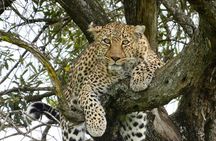 Nairobi: 2-Day Lake Nakuru & Lake Naivasha Safari with Boat Ride