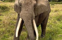 Nairobi: 2-Day Lake Nakuru & Lake Naivasha Safari with Boat Ride