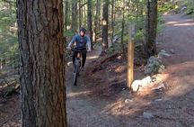 Mountain Breeze Tour - Mountain E Bike - Whistler Marmot Activity