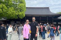 Tokyo Customized Private Walking Tour with a Local Guide