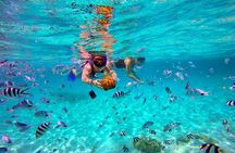 Mauritius Private Boat Tour with Skipper