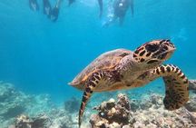 Mauritius Private Boat Tour with Skipper
