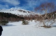 Tour Etna and Wine an experience between nature and aromas with taste.
