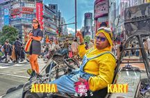 Go-kart tour Tokyo tower to Shibuya ( IDP&Passport Required )