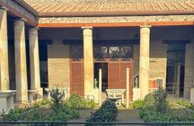 Pompeii Excavations and Mount Vesuvius Excursion from Salerno