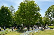 Private Himeji Drive with Food and Culture