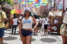 Damajagua Waterfalls and City Tours 