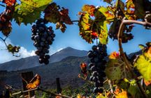 Tour Etna and Wine an experience between nature and aromas with taste.