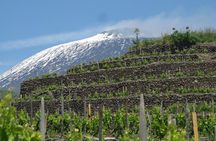 Tour Etna and Wine an experience between nature and aromas with taste.