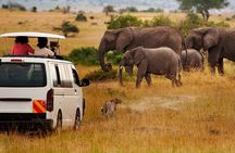 Mombasa Private 3-Day Tsavo East Safari