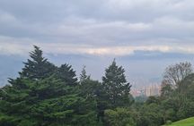 Medellin Private City Tour Experiences