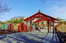 Trondheim: Discover the city of kings with a local guide