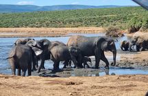 Addo National park and Kragga Kamma Pvt Game reserve
