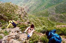 Trekking over Masca through laurel relict woods.Roque de Tarucho.