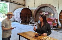 Mendoza Winery Tour with Olive Trees in Private Service