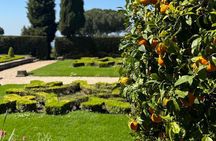Jubilee: Castel Gandolfo and the Gardens of the Pontifical Villas