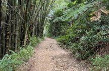 Small Group El Yunque Half Day Tour with Transport: Waterslide