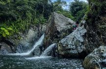 Small Group El Yunque Half Day Tour with Transport: Waterslide