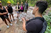 Half Day El Yunque Tour, Waterslide and Rope Swing