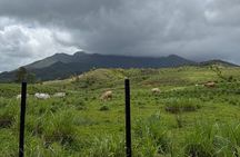 (Self-Drive) El Yunque Tour / 2PM to 5PM