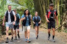 (Self-Drive) El Yunque Tour / 2PM to 5PM