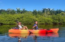 A Bocas Mangrove Kayak & Reef Snorkel Eco Tour