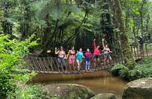 Birdwatching, Atlantic Rainforest Hike, São Paulo Ecotourism