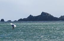 Wing Surfing and Foiling Experience