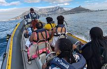 1 Hour Cape Town Ocean Safari 