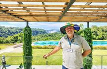 Imperdible Tours in Brazil, Argentina, Paraguay and More