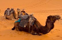Marrakech Desert Tours 3 Days - 3 Days Marrakech Desert Tour