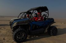 Doha Private Desert Safari 4 Hours up to 5 Pax