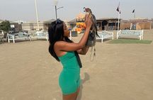 Doha Private Desert Safari 4 Hours up to 5 Pax