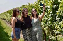 Toronto: Niagara-on-the-Lake, Wine Tasting & Chocolate Day Tour