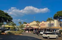 Oahu Private Tour North Shore, Waimea Falls and Dole Plantation