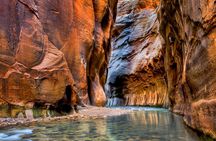 Zion National Park Full-Day Insider Tour
