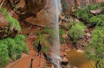 Zion National Park Full-Day Insider Tour