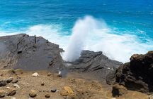 Private East Oahu Highlights Tour Byodo In Temple & Pali Lookout