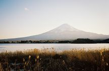 Private Day Tour to Mt Fuji - Onsen Bliss & Nature - From Tokyo