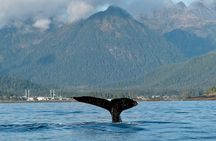 4 Hour Sitka Eco-Friendly Catch & Release Private Fishing Charter