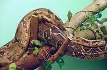 Nairobi National Museum and Snake Park Guided Tour