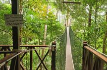 1-Day Jungle Thrill in Taman Negara Tour from KL