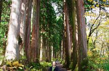 Togakushi: A Serene Walk Through Sacred Forests & Soba Traditions