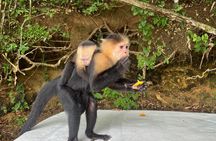 Panama Canal and Monkey Island Tour