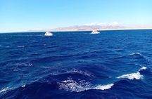 White Island and Ras Mohammed National Park by Boat