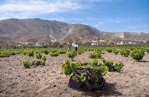 Volcanic Elegance- 2 Winery Tour with Wine Tastings & snacks