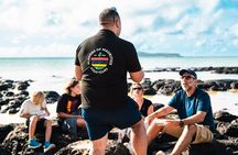 Port Louis to Grand Baie Food Tour Full Day
