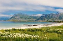 North Lofoten Top Highlights Photo Tour (Haukland)
